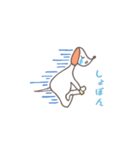 yoggy doggy 日常会話編（個別スタンプ：20）