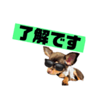 イケイケなアロンくん（個別スタンプ：1）