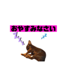 イケイケなアロンくん（個別スタンプ：4）