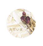 ドライフラワーのおしゃれ雰囲気スタンプ（個別スタンプ：25）
