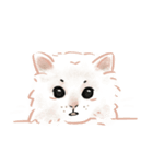にゃんにゃん ラグドール wtyart（個別スタンプ：1）