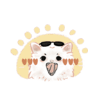 にゃんにゃん ラグドール wtyart（個別スタンプ：8）