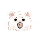 にゃんにゃん ラグドール wtyart（個別スタンプ：14）