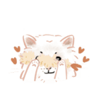 にゃんにゃん ラグドール wtyart（個別スタンプ：19）
