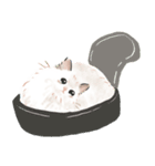 にゃんにゃん ラグドール wtyart（個別スタンプ：30）
