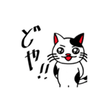 白黒ぶち猫のシンプルスタンプ（個別スタンプ：20）