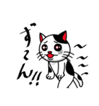 白黒ぶち猫のシンプルスタンプ（個別スタンプ：21）