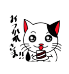 白黒ぶち猫のシンプルスタンプ（個別スタンプ：31）