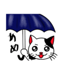 白黒ぶち猫のシンプルスタンプ（個別スタンプ：34）