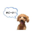 ぷっかの日常2（個別スタンプ：6）