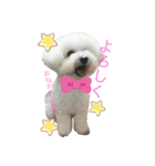☁️SORATO②☁️（個別スタンプ：1）