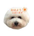 ☁️SORATO②☁️（個別スタンプ：2）