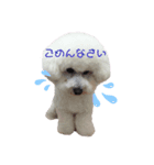 ☁️SORATO②☁️（個別スタンプ：3）