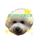 ☁️SORATO②☁️（個別スタンプ：4）