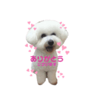 ☁️SORATO②☁️（個別スタンプ：5）