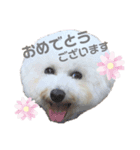 ☁️SORATO②☁️（個別スタンプ：6）