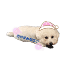 ☁️SORATO②☁️（個別スタンプ：7）