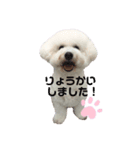 ☁️SORATO②☁️（個別スタンプ：8）