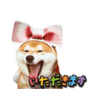 タロちゃんタロちゃん（個別スタンプ：27）