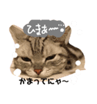 藤本famすたんぷ（個別スタンプ：2）