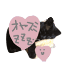 藤本famすたんぷ（個別スタンプ：16）