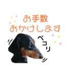 パーシーくん（個別スタンプ：8）