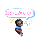 パーシーくん（個別スタンプ：13）