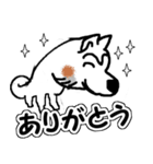 白くて可愛い柴犬が毎日挨拶（個別スタンプ：6）