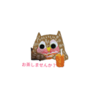 フクロウいっぱい（個別スタンプ：6）