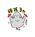 ボリューミーなうさぎ（個別スタンプ：27）
