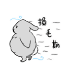 ボリューミーなうさぎ（個別スタンプ：34）