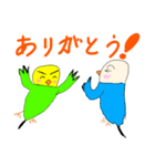 キリッとインコちゃん2（個別スタンプ：1）