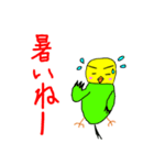 キリッとインコちゃん2（個別スタンプ：23）
