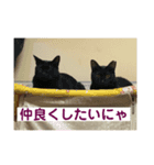 うちの子供たち うめたんらいふ（個別スタンプ：1）