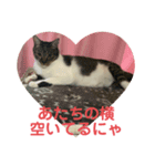 うちの子供たち うめたんらいふ（個別スタンプ：5）