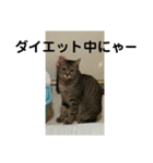 うちの子供たち うめたんらいふ（個別スタンプ：6）