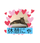 うちの子供たち うめたんらいふ（個別スタンプ：8）