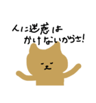 コーヒー牛乳の色の猫（個別スタンプ：16）