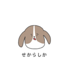 mofu-mofu-friend（個別スタンプ：12）