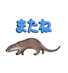 カワウソ家族の生活 (日本語)（個別スタンプ：14）