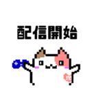 ゲーム配信猫のマギ猫（個別スタンプ：1）