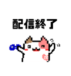 ゲーム配信猫のマギ猫（個別スタンプ：3）