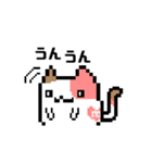 ゲーム配信猫のマギ猫（個別スタンプ：17）