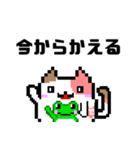 ゲーム配信猫のマギ猫（個別スタンプ：20）