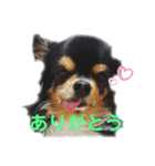 ビンタン課長（個別スタンプ：3）