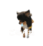 ビンタン課長（個別スタンプ：4）