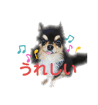ビンタン課長（個別スタンプ：5）