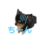 ビンタン課長（個別スタンプ：6）