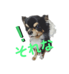 ビンタン課長（個別スタンプ：9）