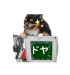 ビンタン課長（個別スタンプ：11）